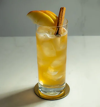 APPLE CIDER COLLINS