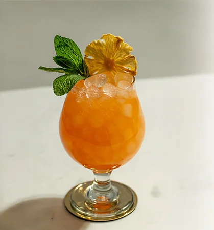 PARADISE PAPER PLANE